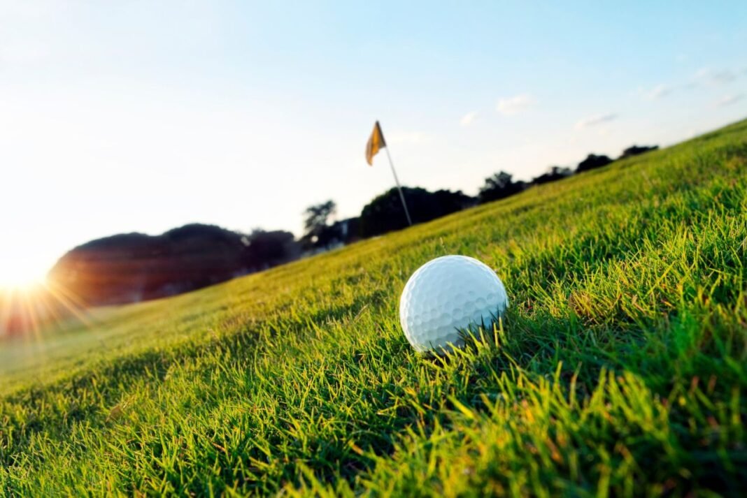 골프 그린위의 골프공과 깃대 이미지 사진